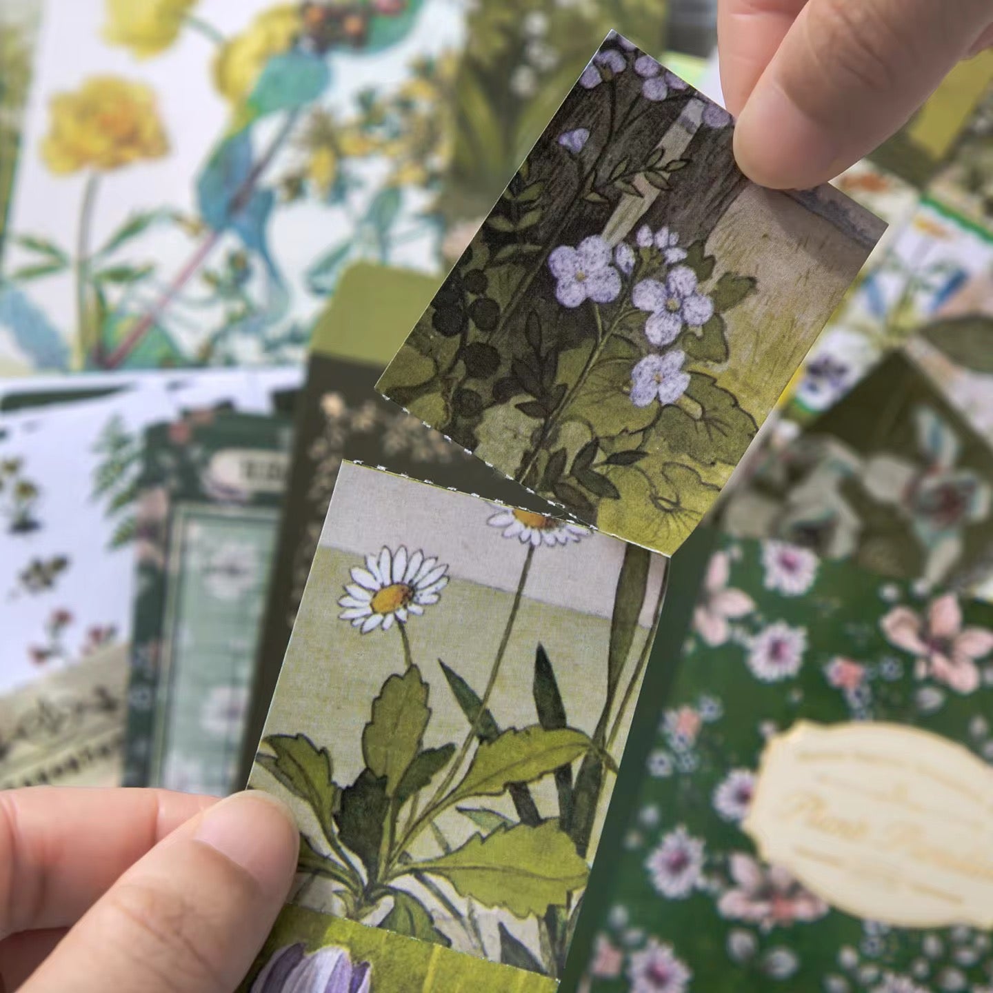 Plants Paradise Notebook Set