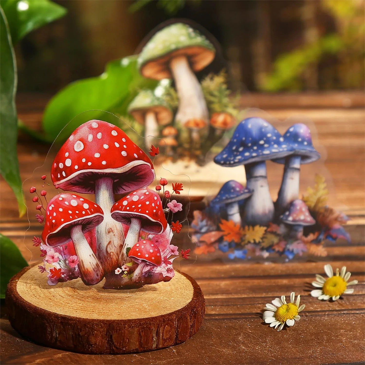 Mushroom Theme