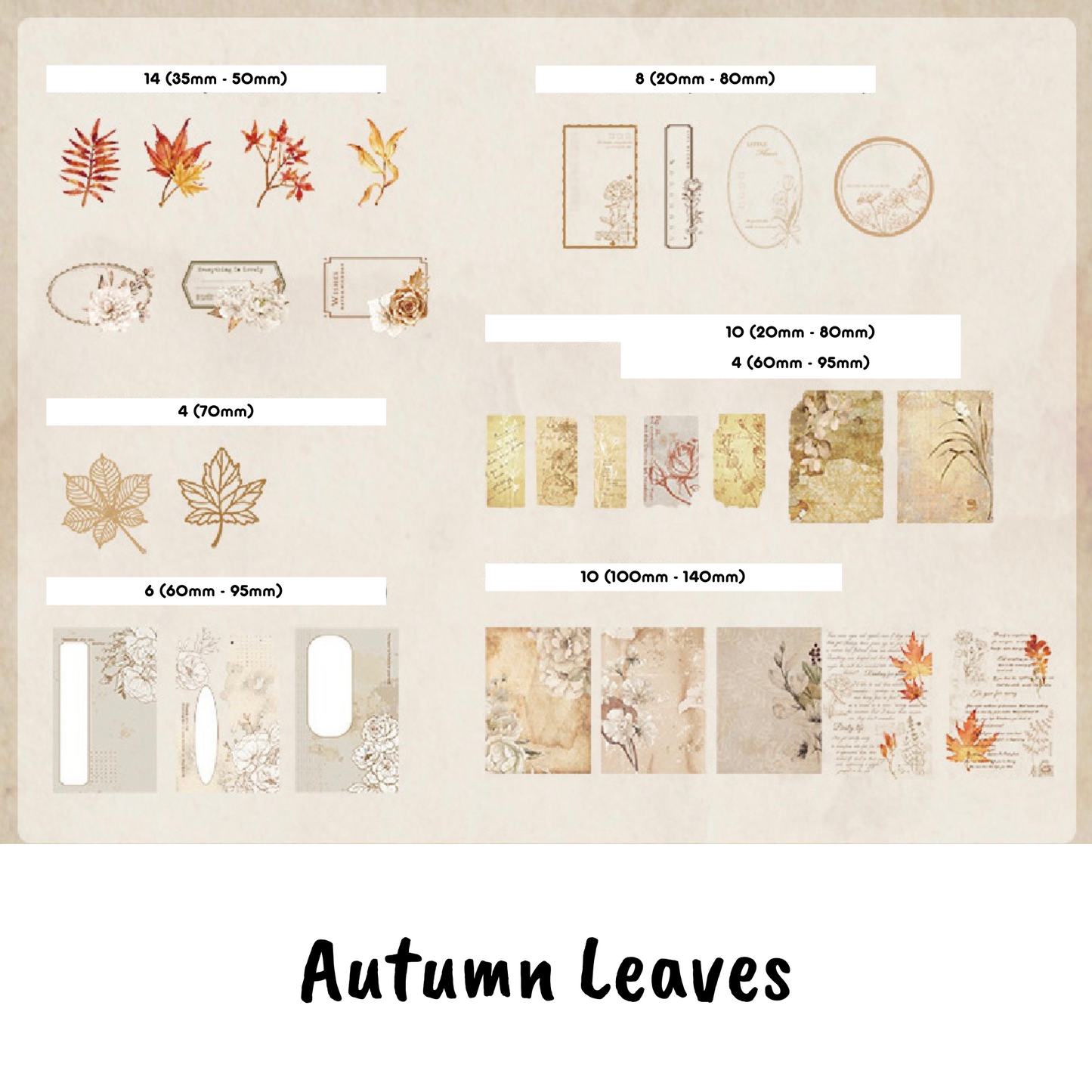 Coming Soon | 56 Pcs Journey through the Years Paper Materials