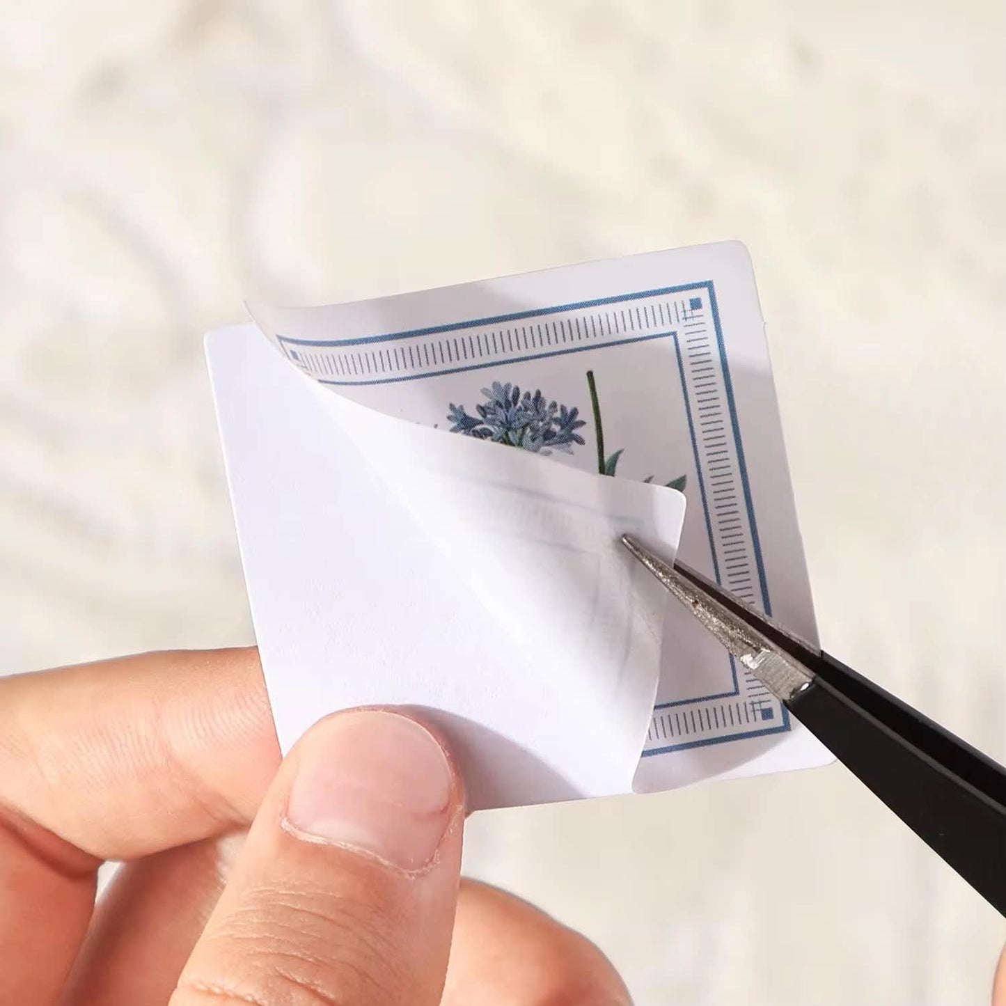 Coming Soon | 100 Shts of Flower Past Paper Materials