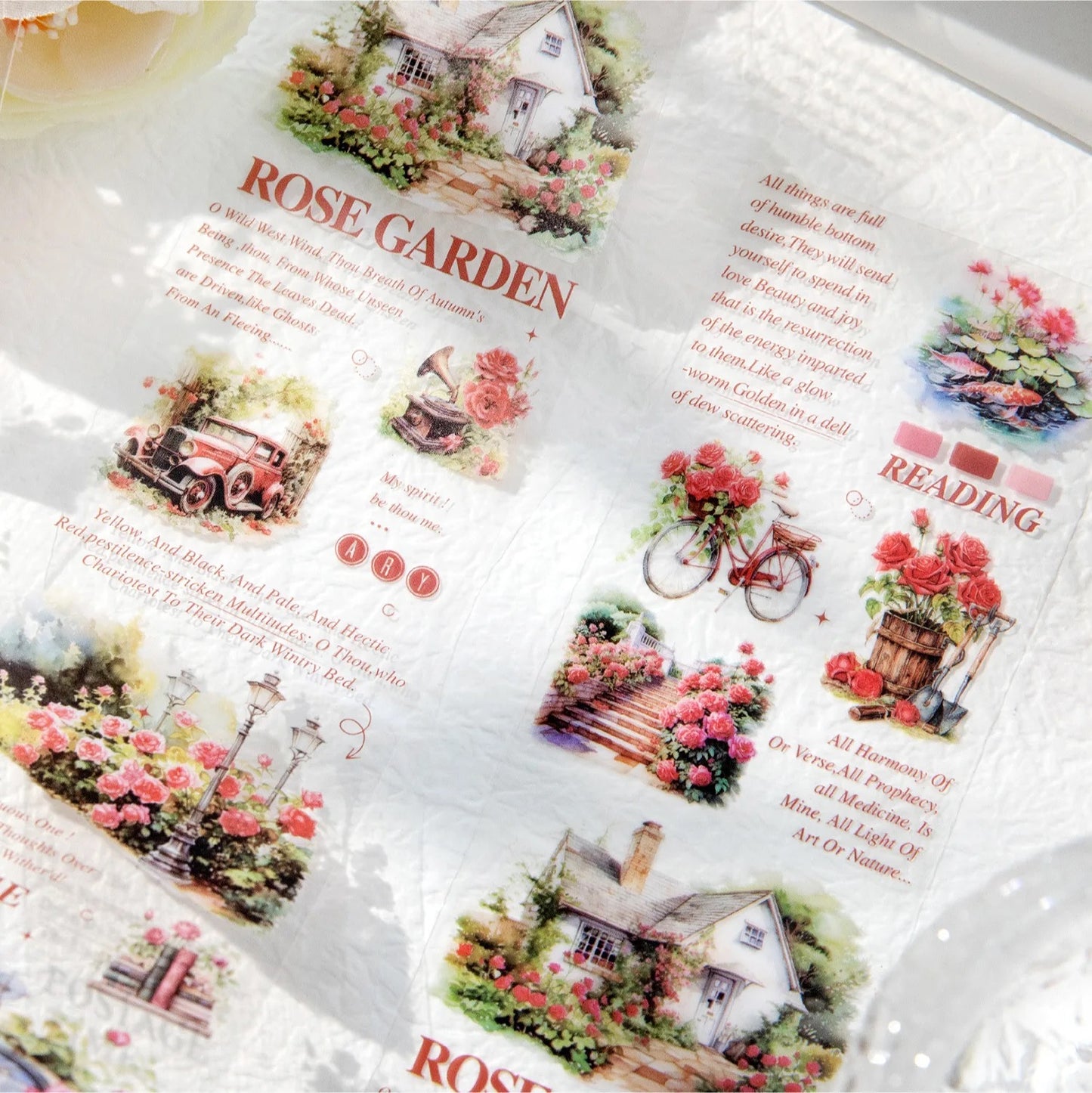 Garden Rose Series Roll