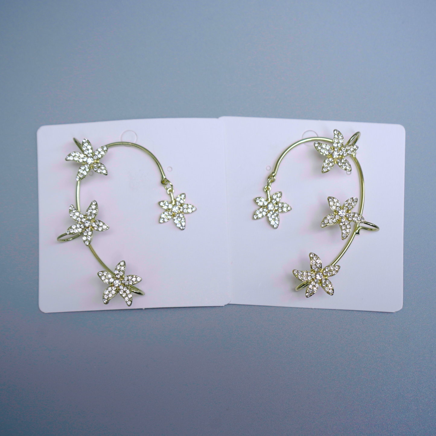 Jewelry | Ear Clips